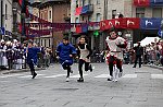 Gara delle Bighe 2011-7828